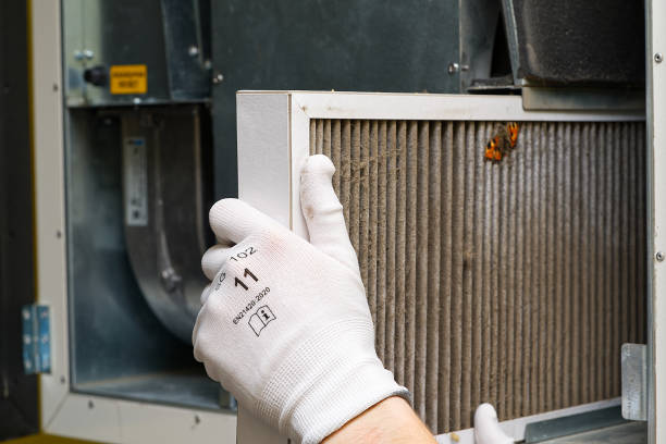 Air Duct Mold Removal in Sherwood, WI